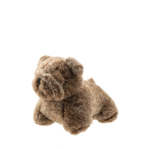 ΒΕΛΟΥΔΙΝΟΣ ΣΚΥΛΟΣ ΚΑΦΕ ΣΤΟΠ 23ΕΚ